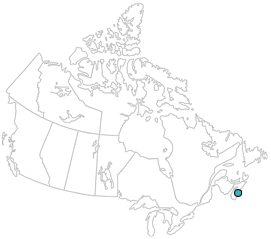 Our Location